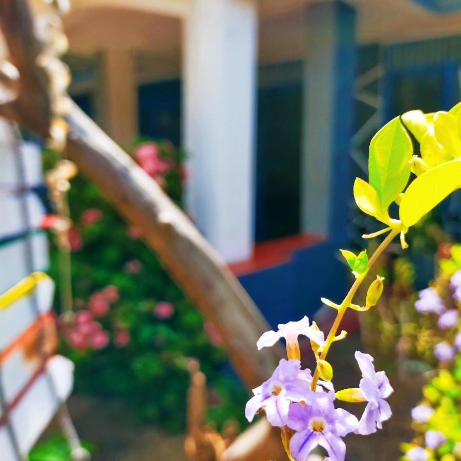 Eastwind Surf Camp Hotel Arugam Bay Buitenkant foto