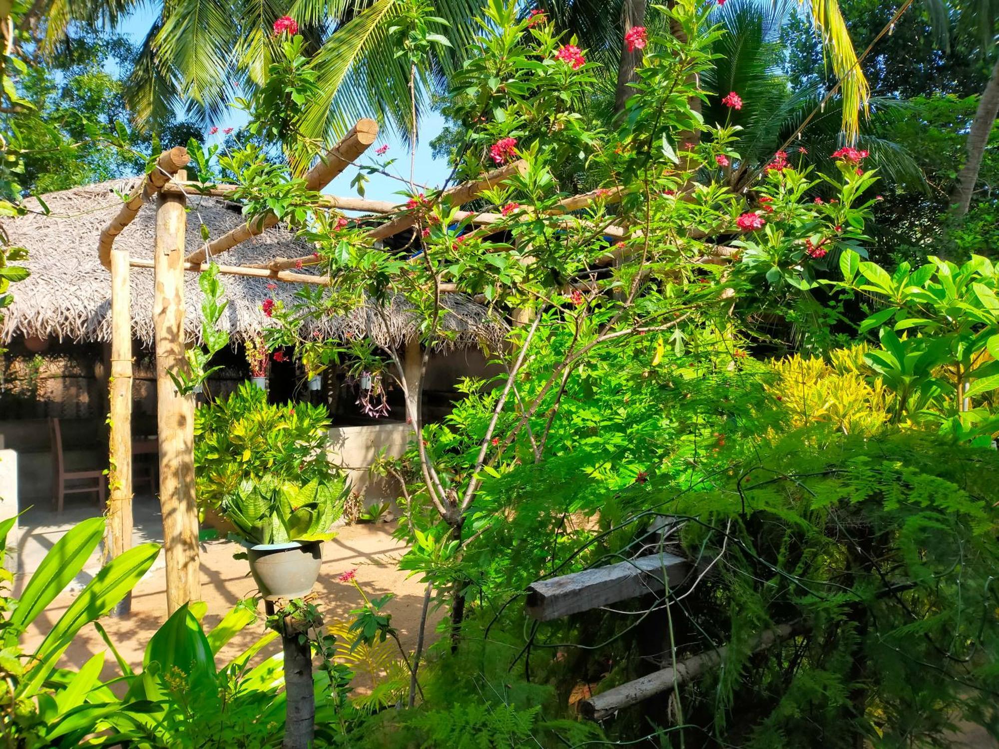 Eastwind Surf Camp Hotel Arugam Bay Buitenkant foto